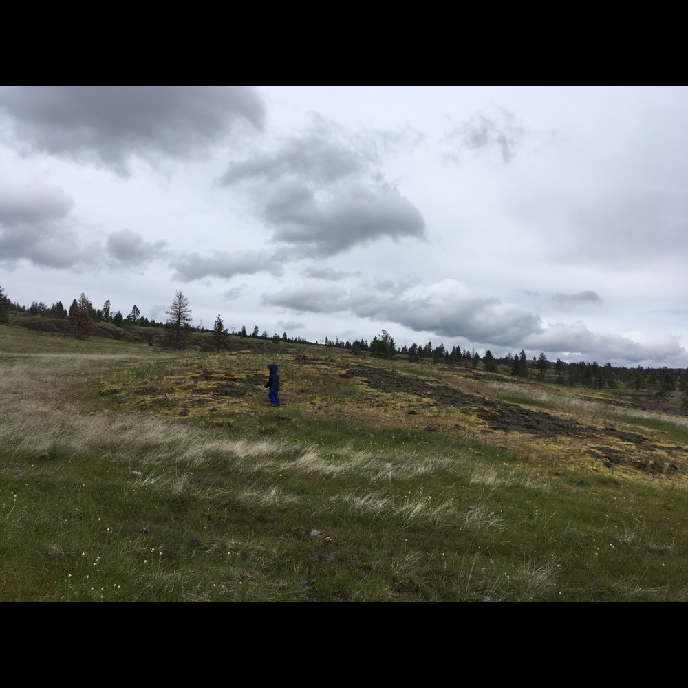 Meet your Posher, Rachael